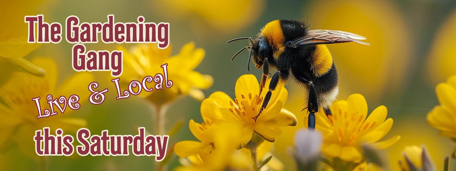 Saturday @ Mitre 10 Kincumber!