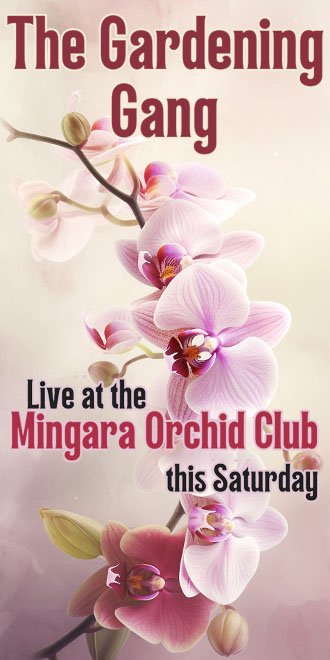 Coast FM | Mingara Orchid Club