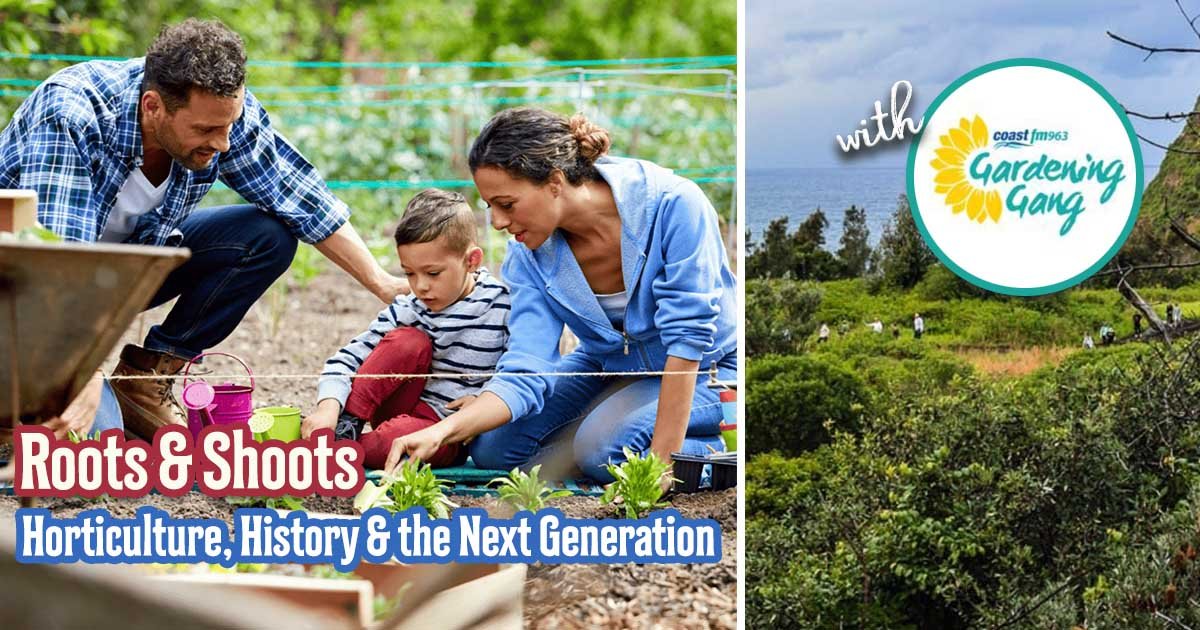 Next On Air Saturday, 24 January 2026, Morning 8:00am until 10:00am