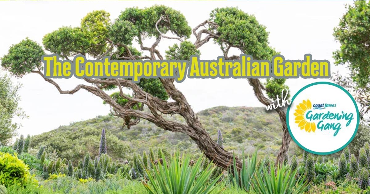 Next On Air Saturday, 14 February 2026, Morning 8:00am until 10:00am