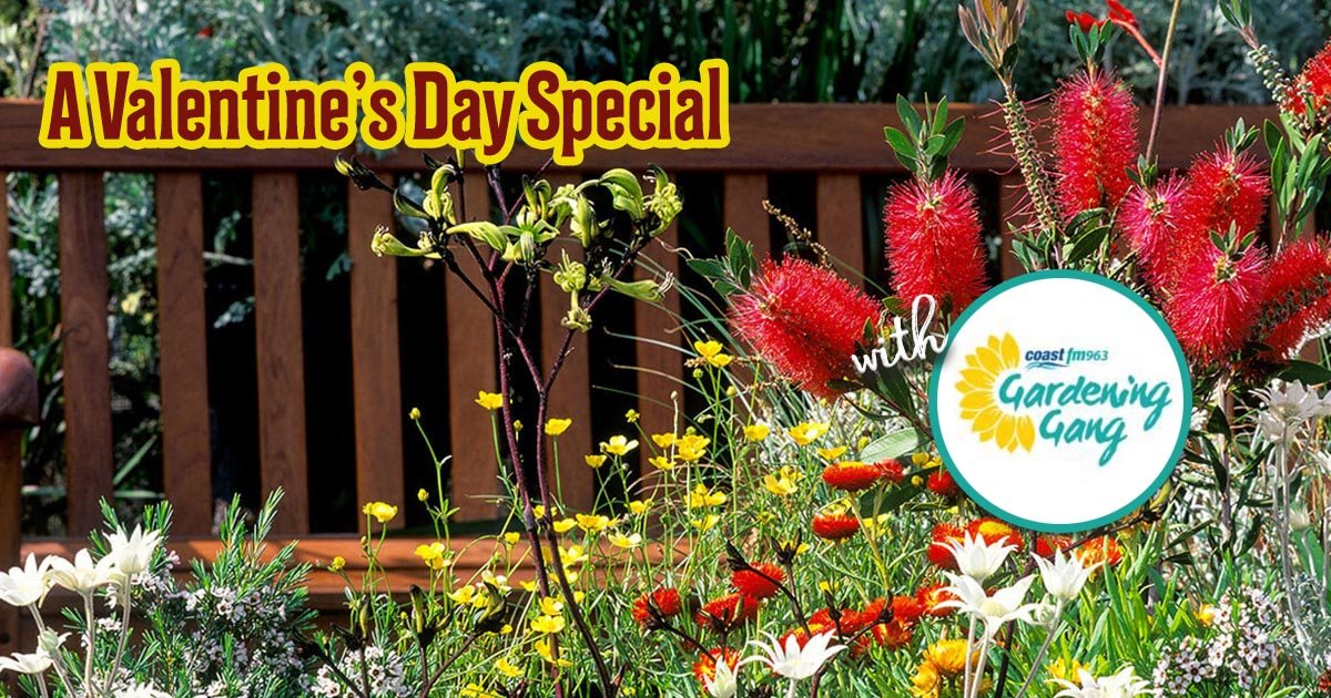 Next On Air Saturday, 14 February 2026, Morning 8:00am until 10:00am