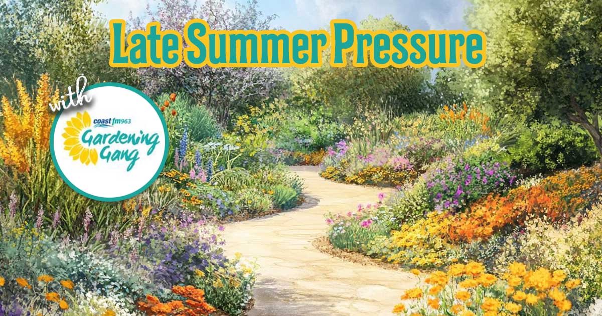 Next On Air Saturday, 28 February 2026, Morning 8:00am until 10:00am