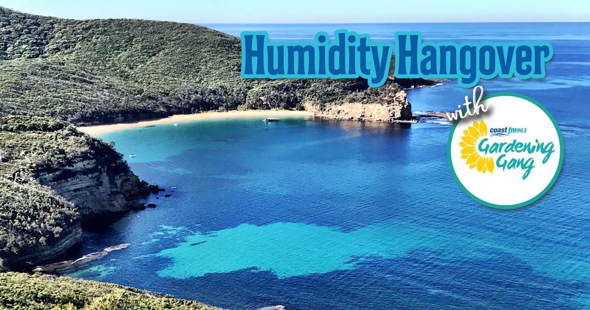 Next On Air Saturday, 7 March 2026, Morning 8:00am until 10:00am