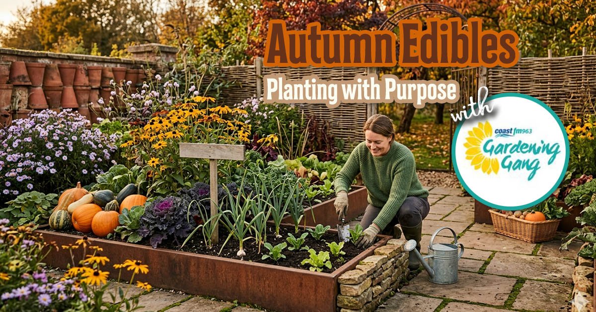 Next on Saturday (14th March) Morning from 8:00am