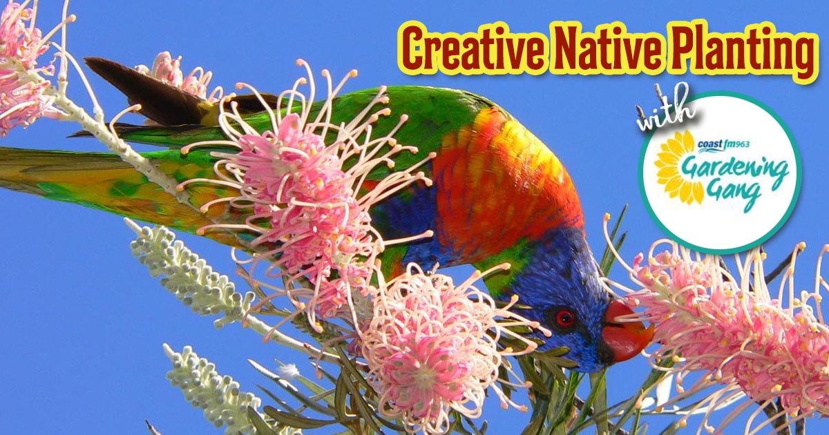 Next on Saturday (21st March) Morning from 8:00am