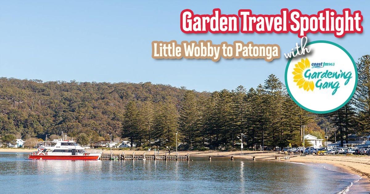 Next on Saturday (28th March) Morning from 8:00am