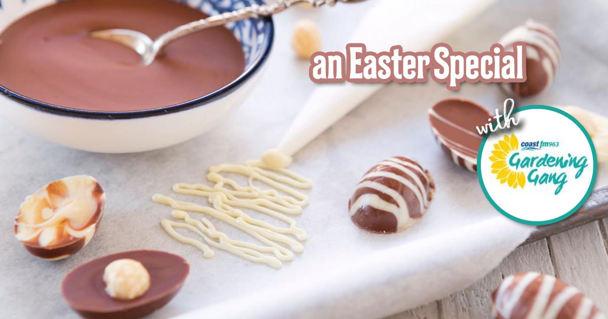 Next on Saturday (4th April) Morning from 8:00am