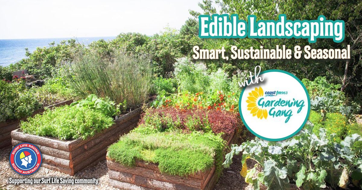 Next on Tomorrow from 8:00am