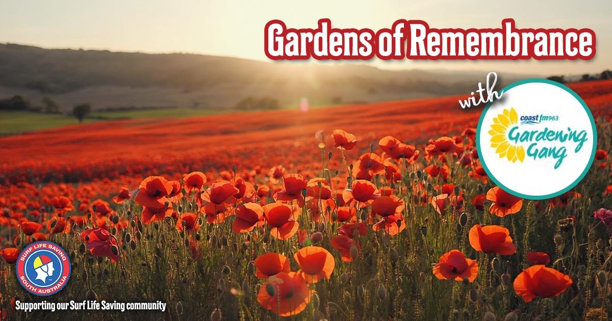 Next on This Morning from 8:00am