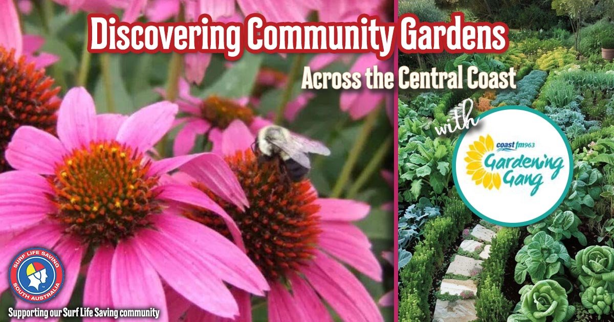 Next on Saturday (2nd May) Morning from 8:00am