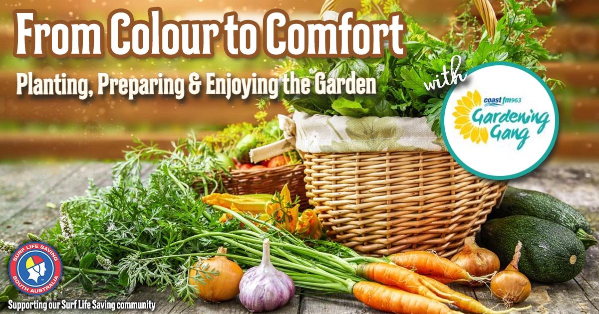 Next on Saturday (16th May) Morning from 8:00am