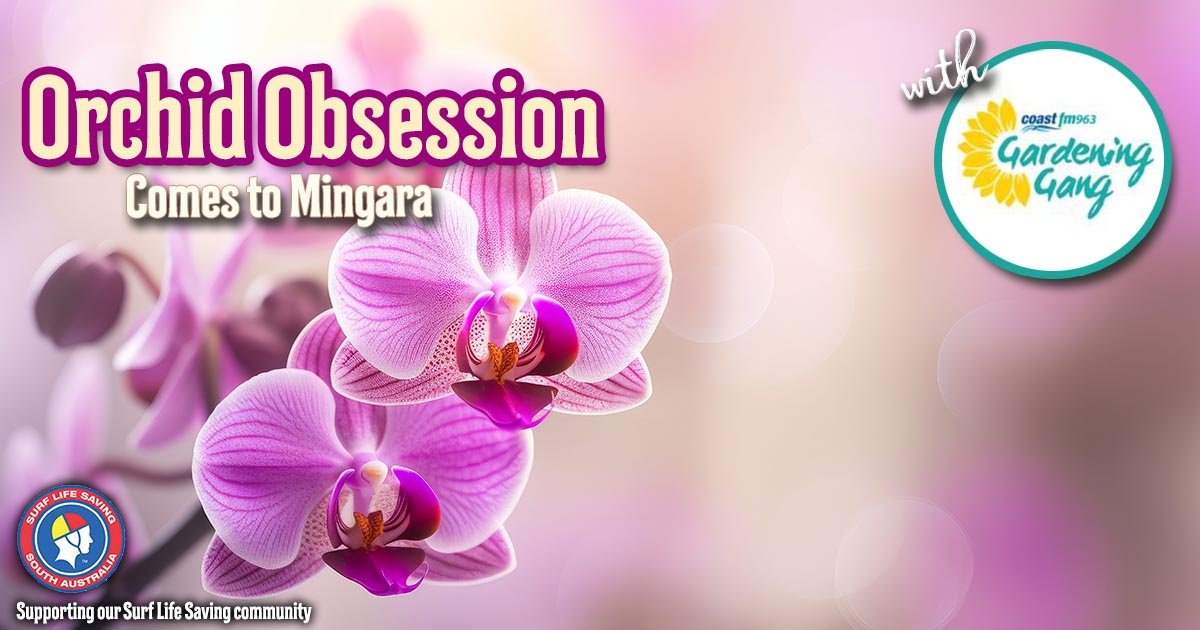 Next on Tomorrow from 8:00am